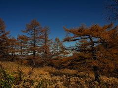 高峰高原1