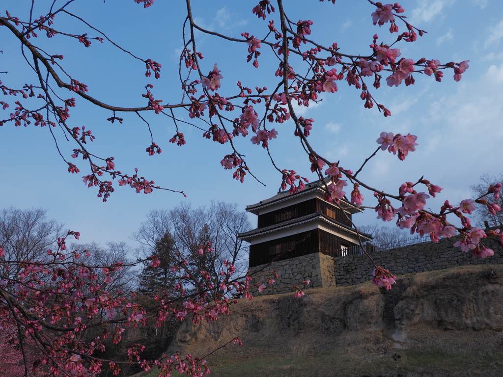 「梅」上田城