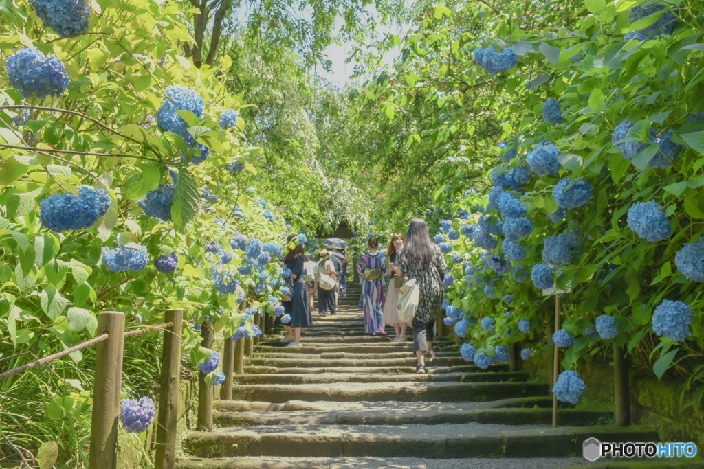 明月院