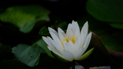 DSCF8355