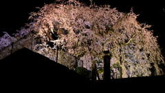 DSCF2583