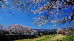 DSCF3088