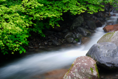 DSCF0387