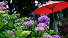 DSCF4783