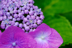 DSCF0513