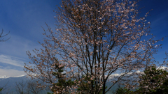 DSCF3485