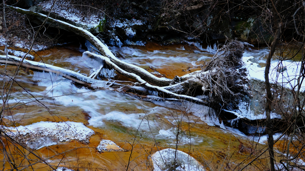 DSCF1278
