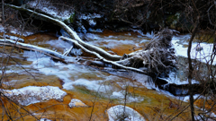DSCF1278