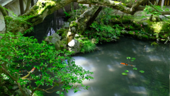 DSCF9836