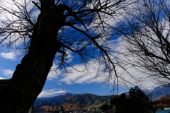 DSCF2668