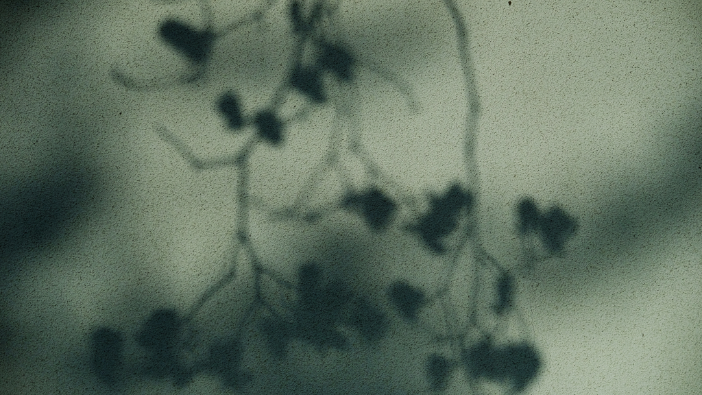 DSCF2745
