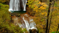 DSCF2355