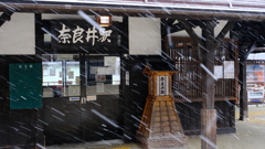 DSCF1732