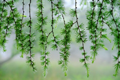 DSCF0266