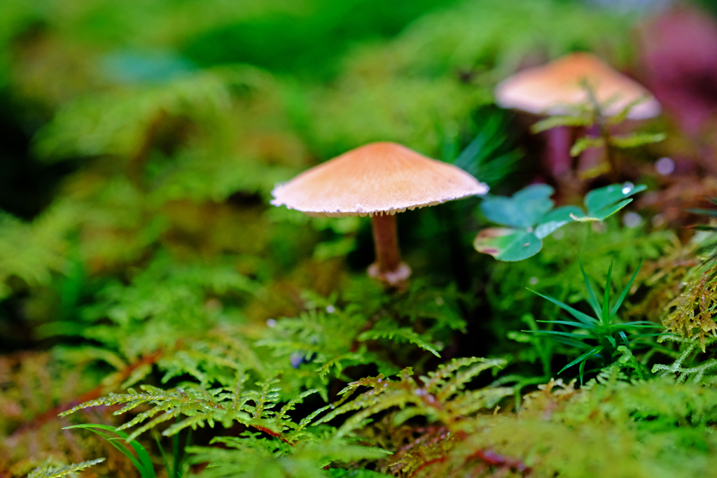 DSCF5127