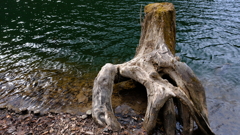 DSCF1234