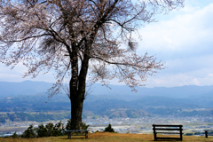 DSCF5899