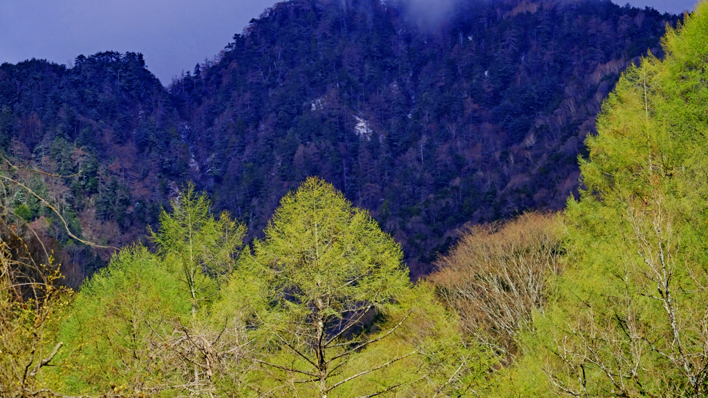 DSCF3196