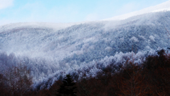 DSCF1381