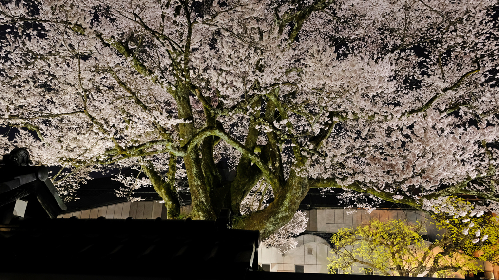 DSCF2644