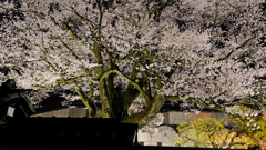 DSCF2644