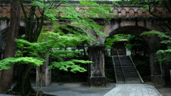 DSCF9683