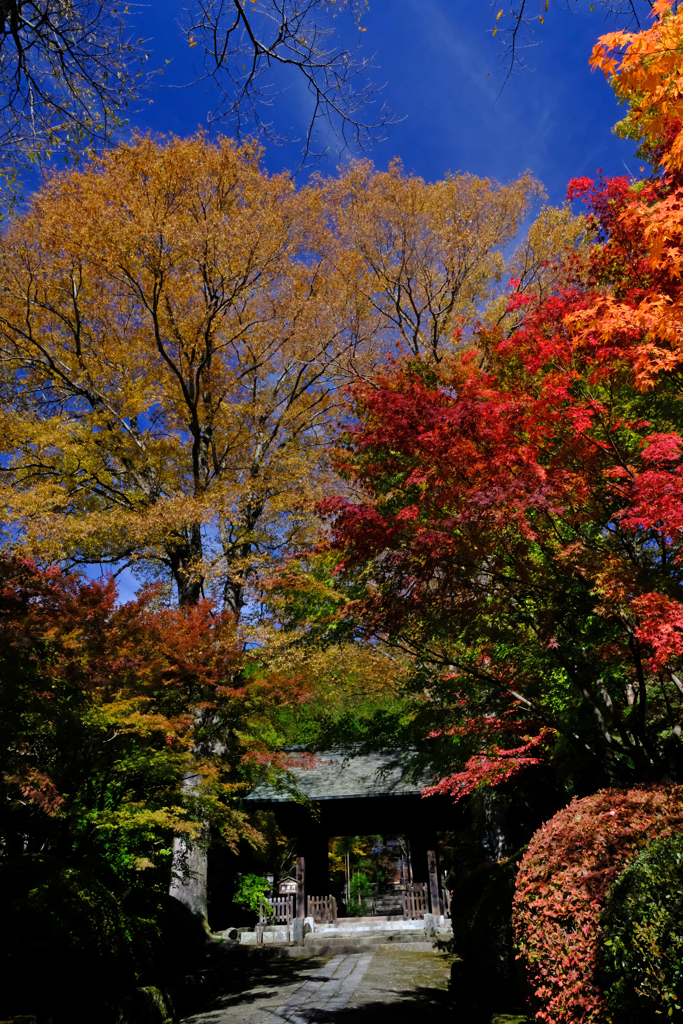 DSCF6248