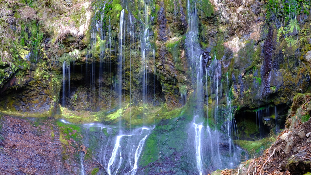 DSCF1179