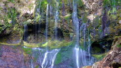 DSCF1179