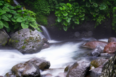 DSCF0409