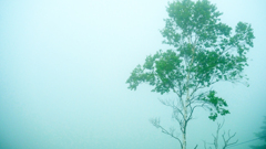 DSCF0111