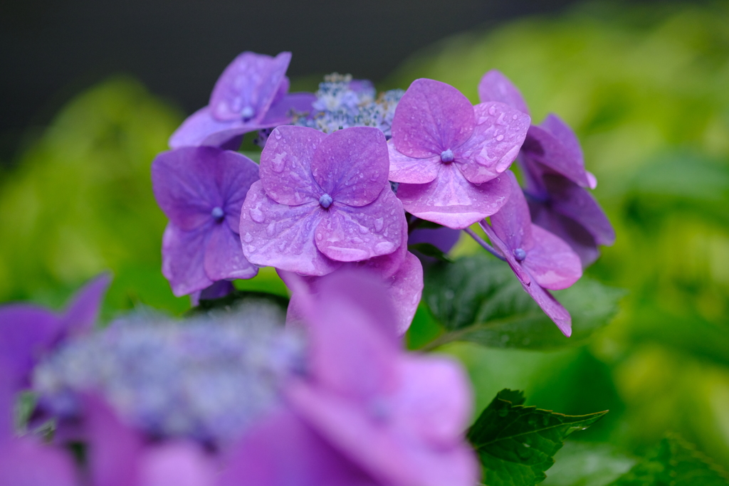 DSCF0504