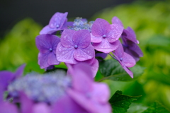 DSCF0504