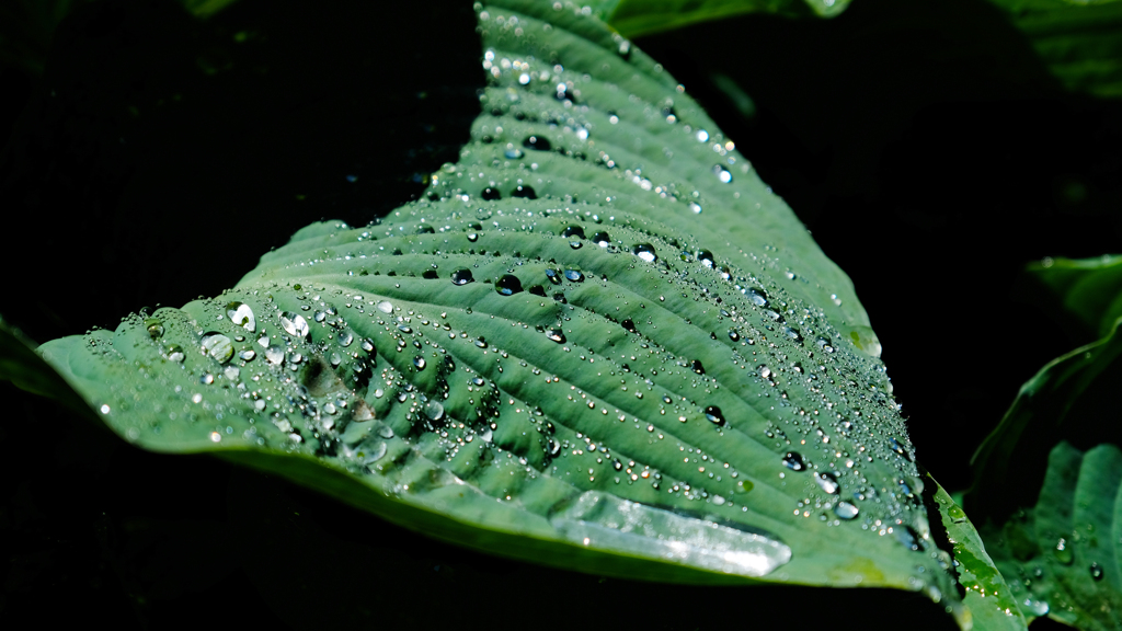 DSCF4072