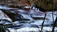 DSCF1325