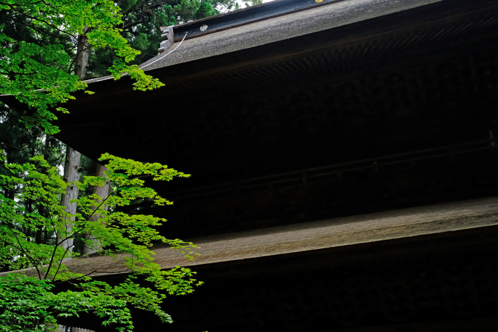 DSCF4807