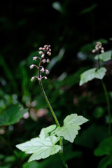 DSCF7269