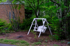 DSCF3791