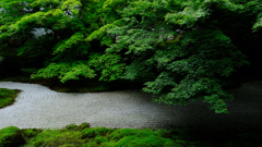 DSCF9755