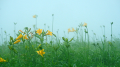 DSCF0140