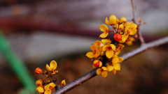 DSCF0898