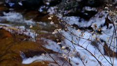 DSCF1298