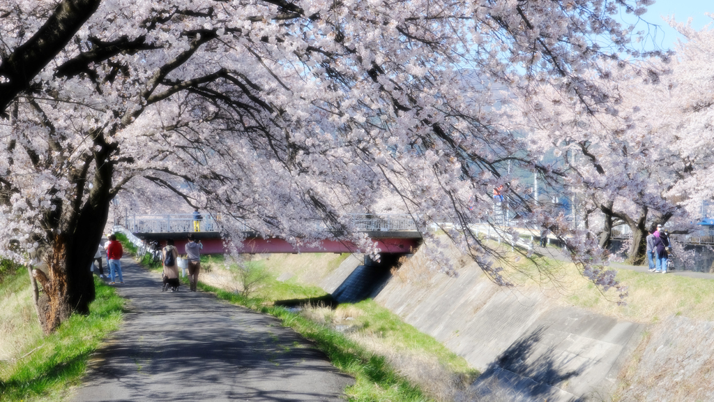 DSCF3134