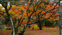 DSCF3010