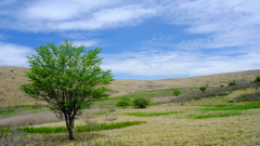 DSCF4383