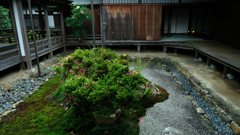 DSCF9719