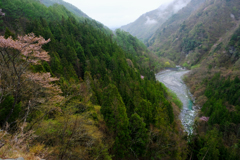 DSCF6519