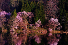 DSCF8056