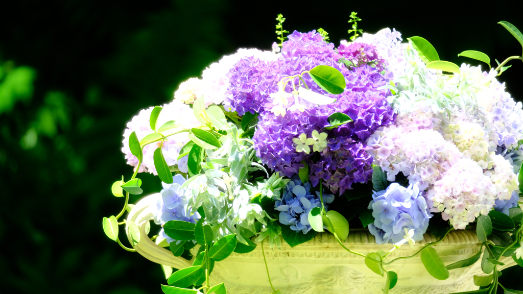 DSCF4099