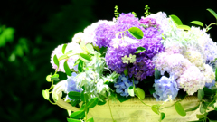 DSCF4099